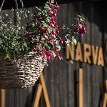 Hostal Kalameeste Maja Mustvee