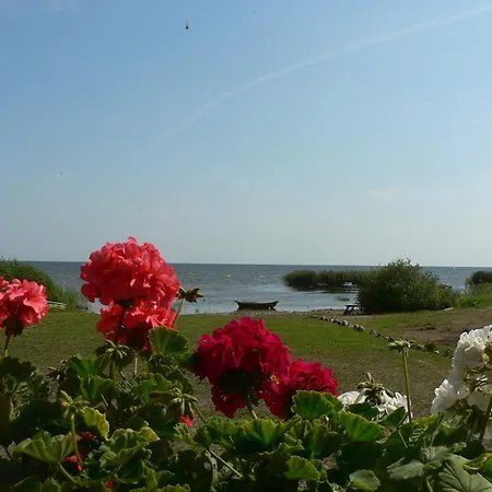 ホステル Kalameeste Maja ムストベー