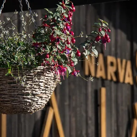Hostel Kalameeste Maja Mustvee