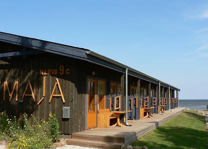 Hostel Kalameeste Maja Mustvee