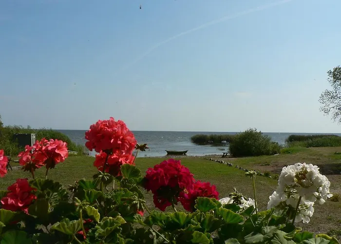 Hostel Kalameeste Maja Mustvee