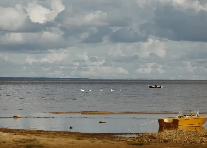 Hostel Kalameeste Maja *