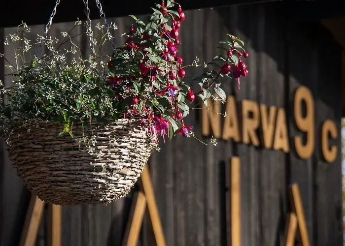 Hostel Kalameeste Maja Mustvee