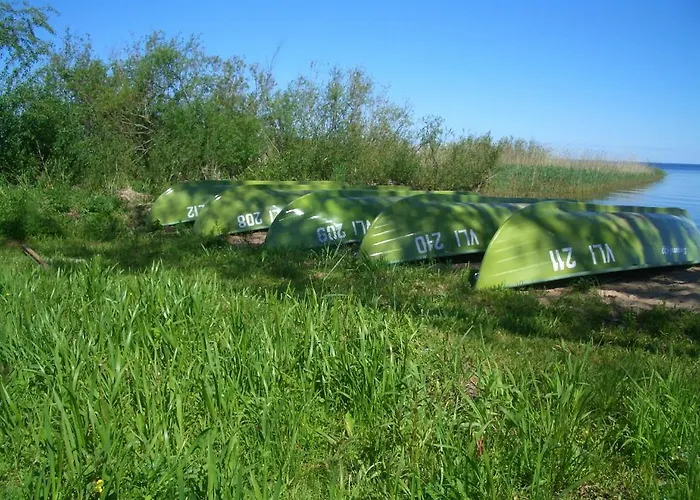 Hostel Kalameeste Maja Mustvee