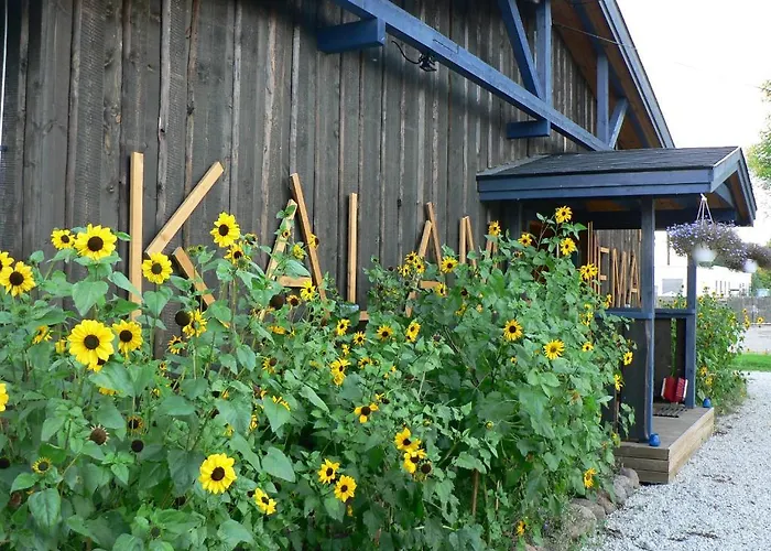 Hostel Kalameeste Maja