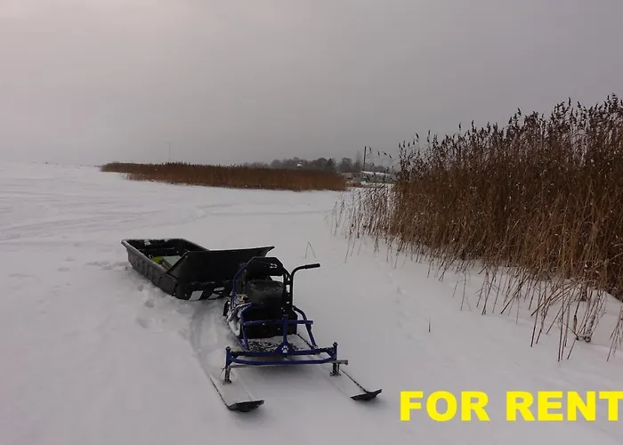 Hostel Kalameeste Maja *