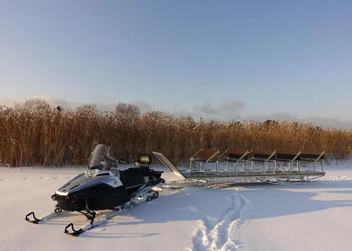 Hostel Kalameeste Maja *