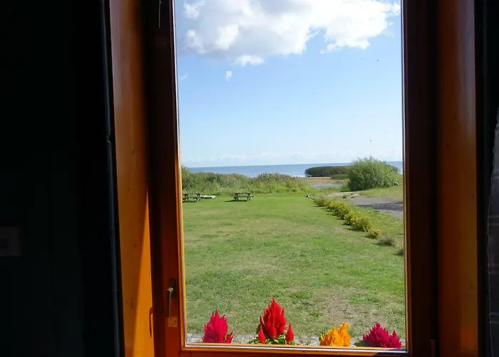 Hostel Kalameeste Maja *